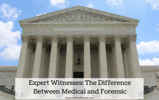 Expert Witness